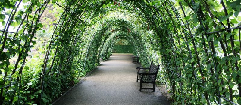 Ogrody w tunelach: Jak wykorzystać tunele ogrodowe do uprawy roślin przez cały rok