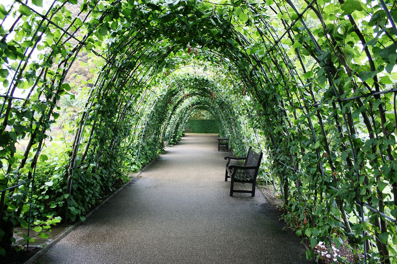 Ogrody w tunelach: Jak wykorzystać tunele ogrodowe do uprawy roślin przez cały rok